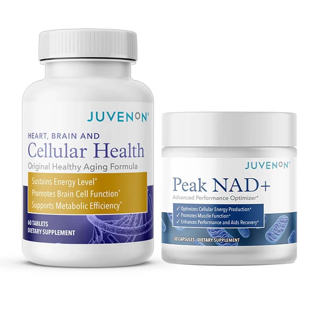 Energy Protocol