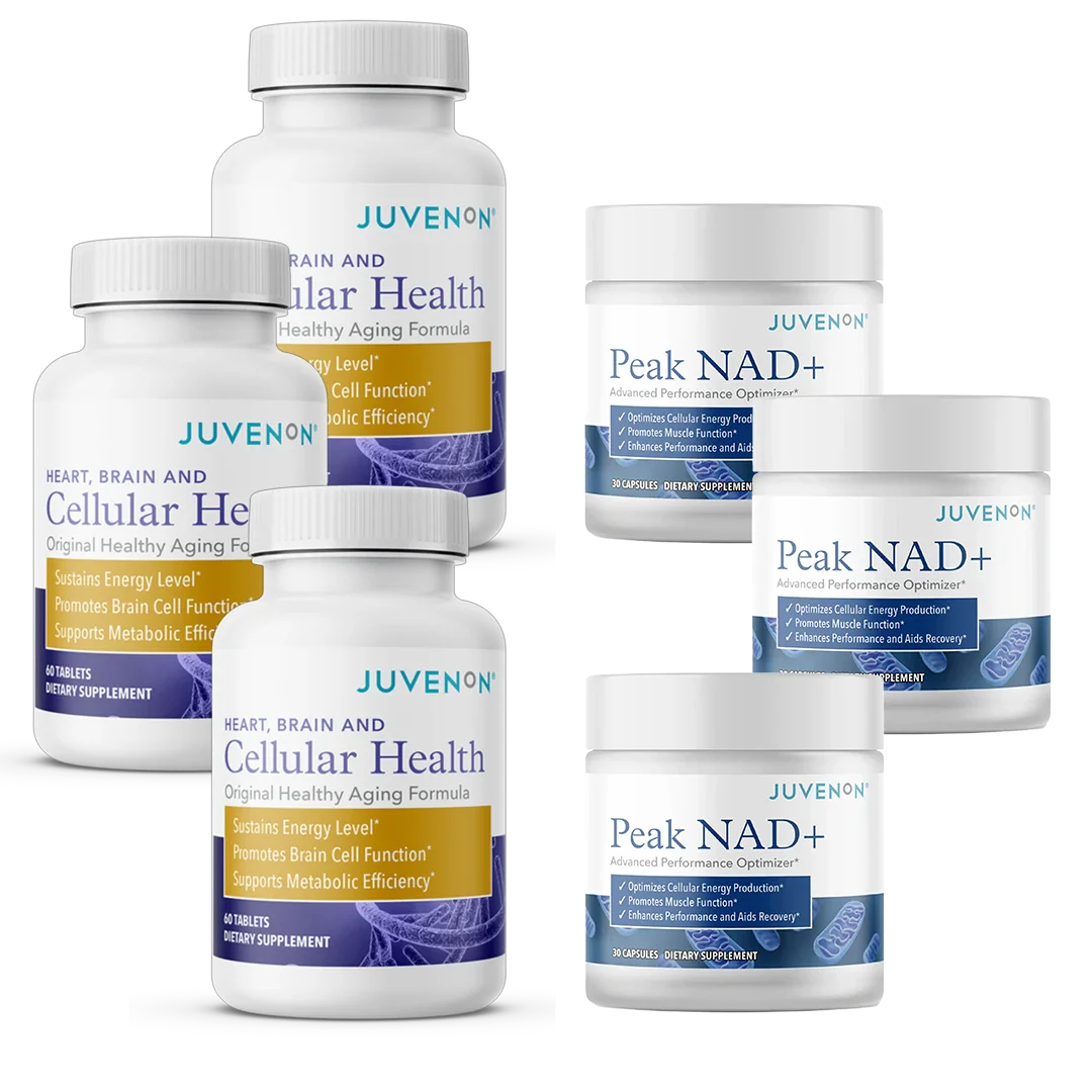 Energy Protocol - Image 6